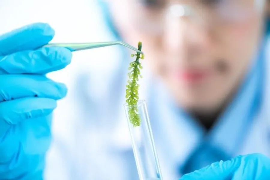Ciąża biochemiczna – co musisz wiedzieć o najwcześniejszym poronieniu