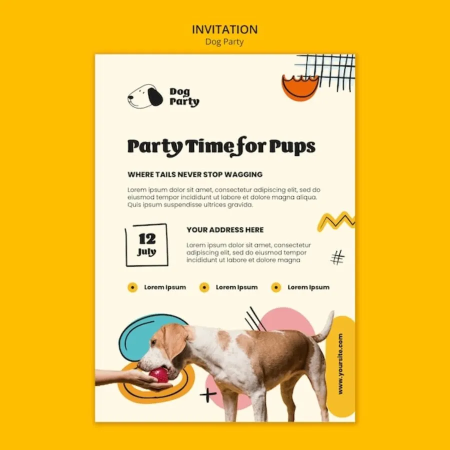 Petting a ciąża – definicja, ryzyka i porady dotyczące bezpieczeństwa